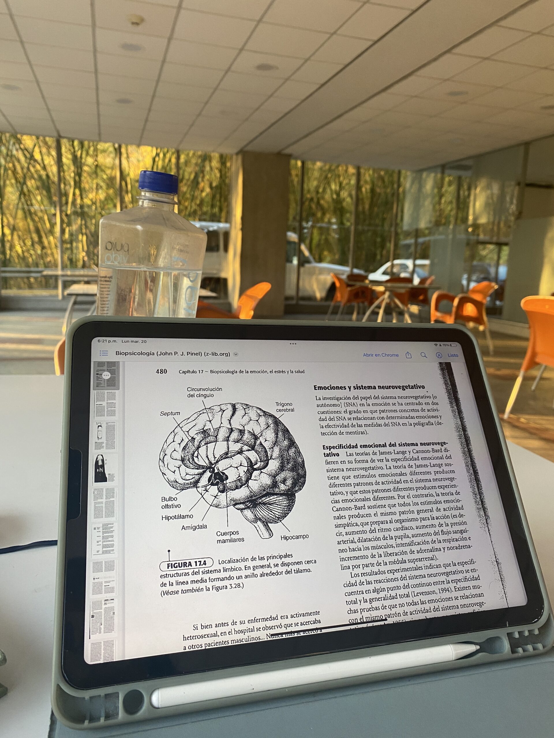 Lo que piensas, tu cuerpo lo cree